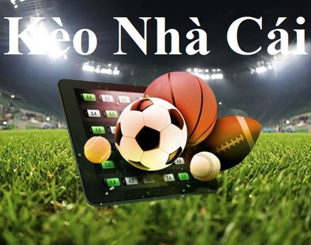 Bmwbet chơi game đánh bài tiến lên online