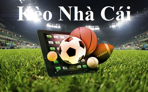 Bmwbet chơi game đánh bài tiến lên online