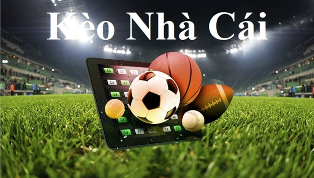 Bmwbet chơi game đánh bài tiến lên online